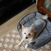 Photo of Toto