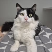 Photo of Maurice