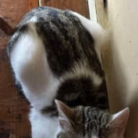 Photo of Nudge