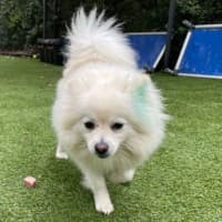 Photo of Snowy
