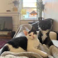 Photo of Pumpkin And Feta