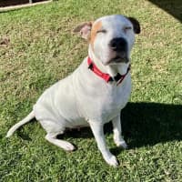 Photo of Lola