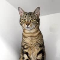 Photo of Margaret Sua014376