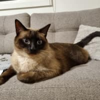 Photo of Frankie & Freddy   Located In Preston