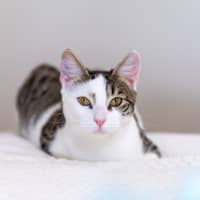 Photo of Coco