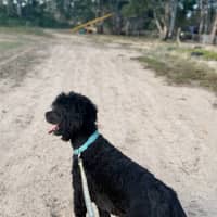 Photo of Koby 