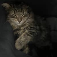 Photo of Ellie 