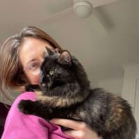 Photo of Evie   In Foster Care In Bentleigh East