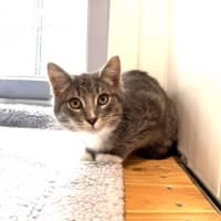 Photo of Whizz Fizz