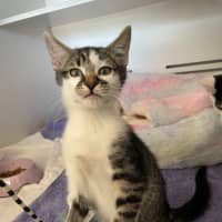 Photo of Squiggles *Available From Petstock Milperra*