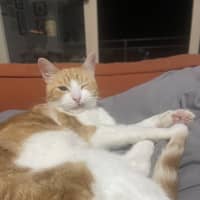 Photo of Fred
