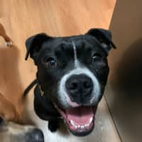 Photo of Harken
