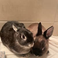 Photo of Dobbie & Alex