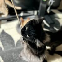 Photo of Lumos   Located In Lower Plenty