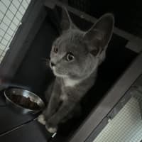 Photo of Bella