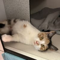 Photo of Dorothy