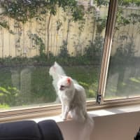 Photo of Elsa