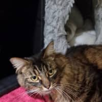 Photo of Storm