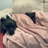 Photo of Greta And George