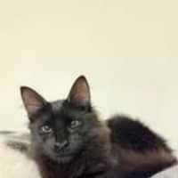 Photo of Mo