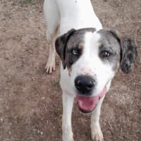 Photo of Jinkx Monsoon