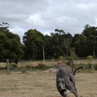 Photo of Christine Now Daisy