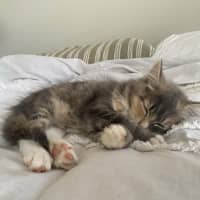 Photo of Milli