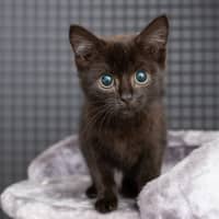Photo of Wednesday
