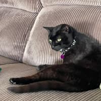 Photo of Peppa