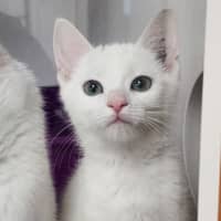 Photo of Thelma & Louise