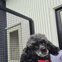 Photo of Carlos And Charlie