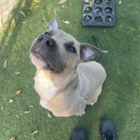 Photo of Zeus