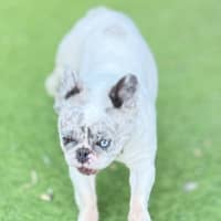 Photo of Wiggles