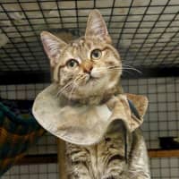 Photo of Monte Carlo