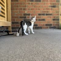 Photo of Finnley