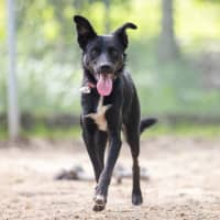 Photo of Bella