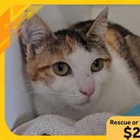 Photo of Edna 