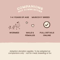 Photo of Mr. White, Mrs. White, Didi, Doris & Delilah