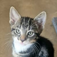 Photo of Olaf