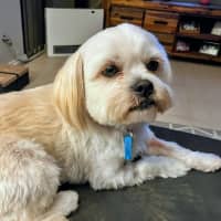 Photo of Lando