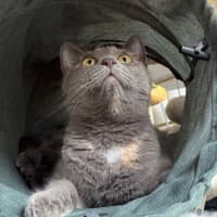 Photo of Adelita