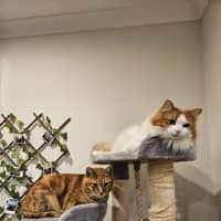 Photo of Zoe & Simba
