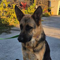 Photo of Shilo