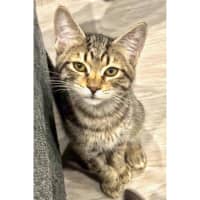 Photo of 11963   Travis