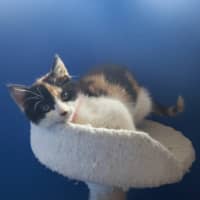 Photo of Elli