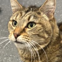 Photo of Marley