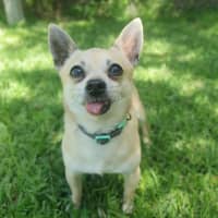 Photo of Tito