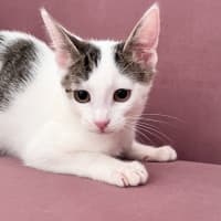 Photo of Sugar