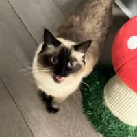 Photo of Nini & Ekko