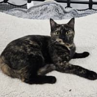 Photo of Rosie